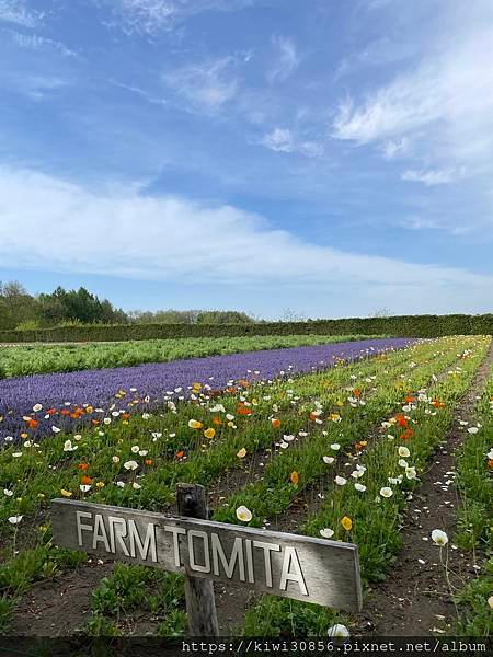 超市-滝川油菜花田-富田農場-彩香之里-富遊里小木屋(北海道