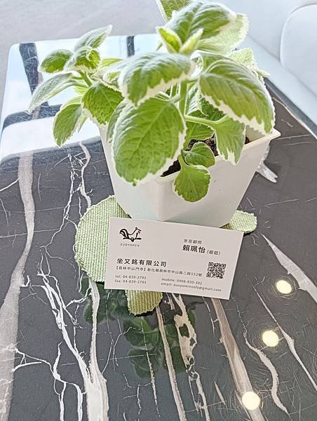 [坐又銘手工沙發］初體驗
