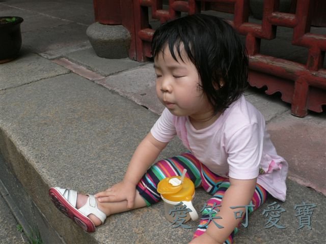 L1060324.JPG