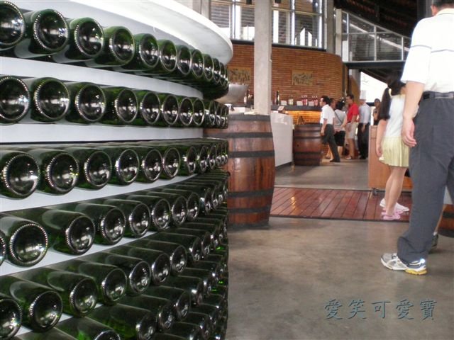 P1260264.JPG