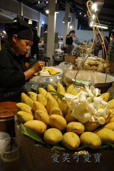 P1010431.JPG