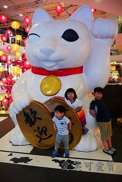 P1020510.JPG