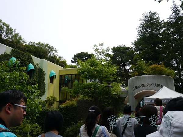P1070405.JPG