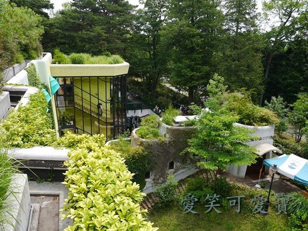 P1070431.JPG