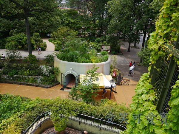 P1070432.JPG