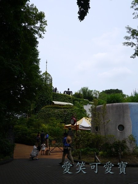 P1070443.JPG