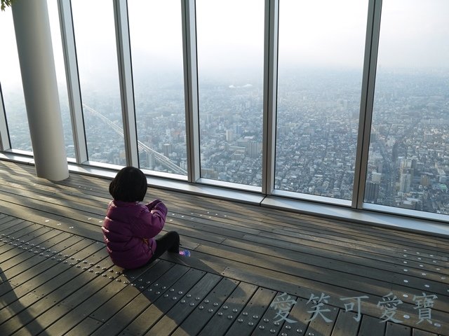 P1250179.JPG