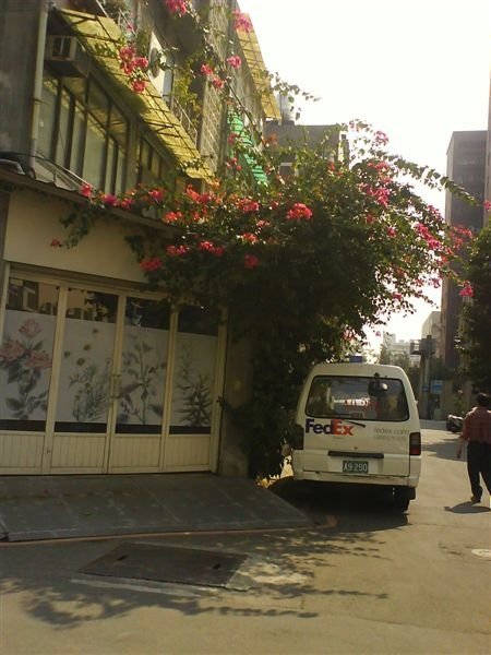 DSC00863.jpg