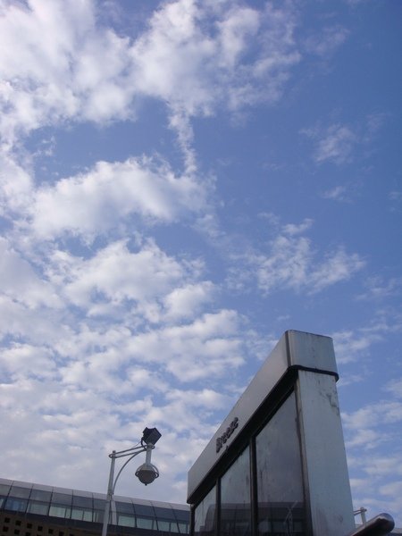 DSC00536.JPG