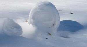 300px-Snowroller.jpg