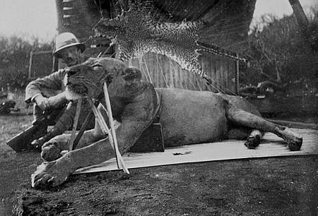 1280px-Colonel_Patterson_with_Tsavo-Lion.jpg