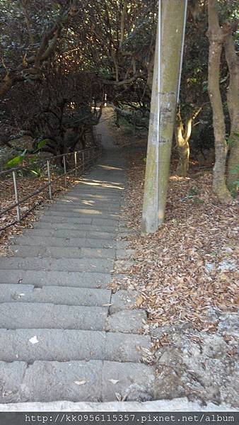 1420098896941.jpg
