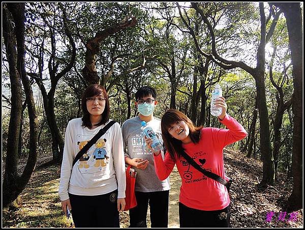DSCN3667