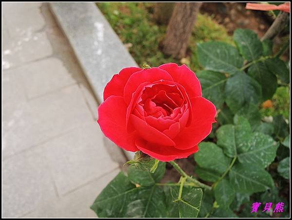 DSCN9461