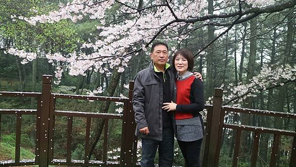 20170406韓國釜山賞櫻之旅_170529_0096.jpg