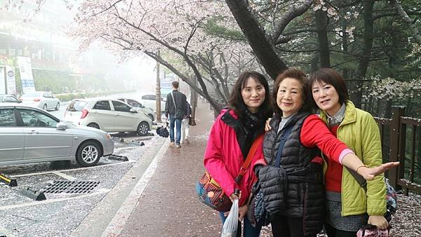 20170406韓國釜山賞櫻之旅_170529_0090.jpg