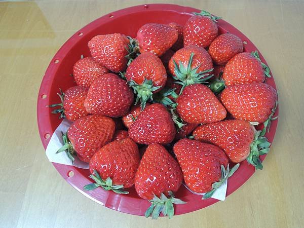 DSCN3024.JPG