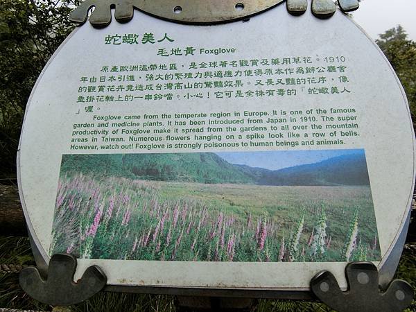 CIMG0143.JPG