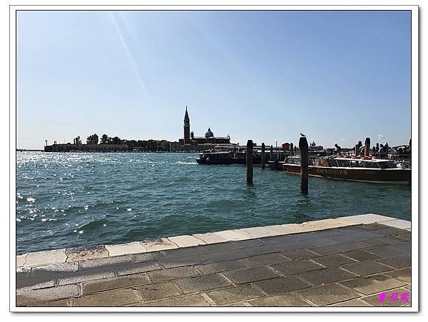 IMG_2149.jpg