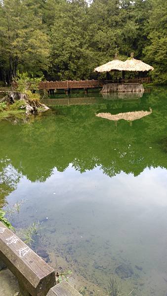 IMG_20170710_110357.jpg