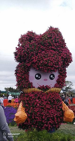 IMG_20200127_105748.jpg