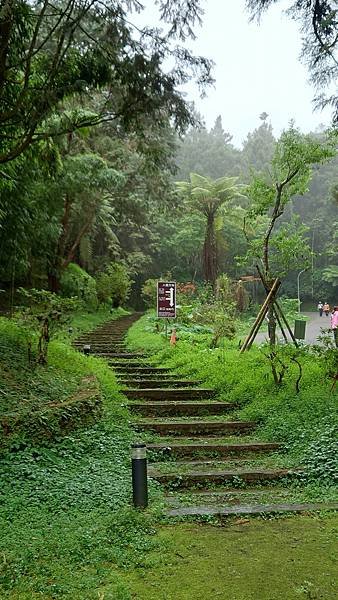 20220501溪頭天文台登山_220503_5.jpg