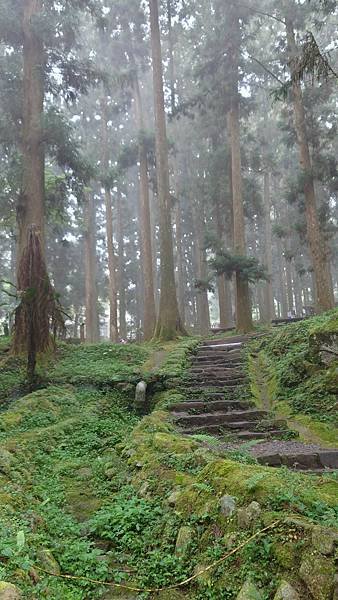 20220501溪頭天文台登山_220503_9.jpg