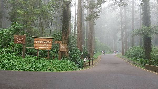 20220501溪頭天文台登山_220503_12.jpg