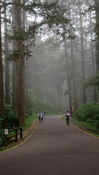 20220501溪頭天文台登山_220503_11.jpg