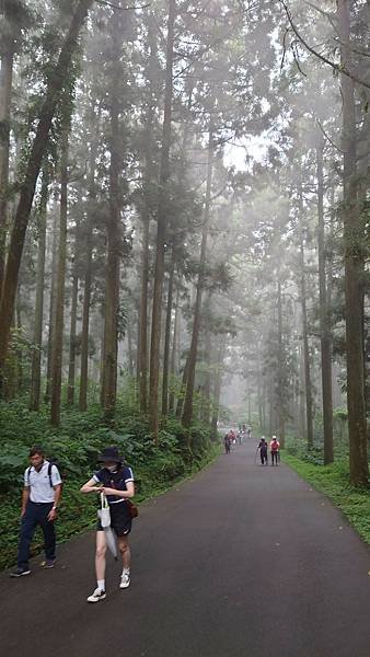 20220501溪頭天文台登山_220503_15.jpg