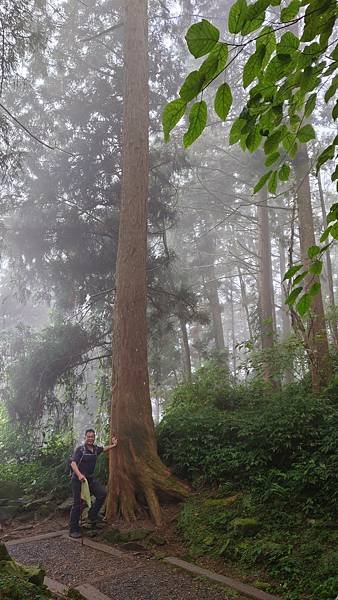 20220501溪頭天文台登山_220503_36.jpg