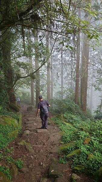 20220501溪頭天文台登山_220503_35.jpg