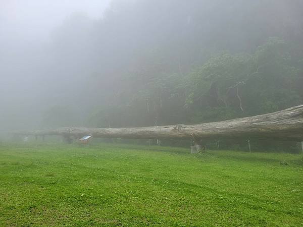 20220501溪頭天文台登山_220503_155.jpg