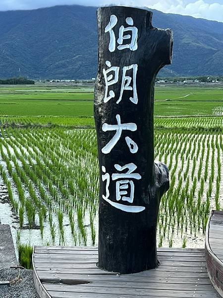 臺東縣台東「伯朗大道」。Taiwan台東熱門景點。臺東縣池上