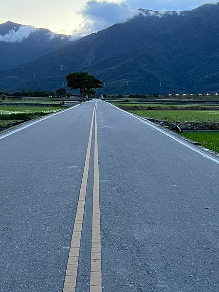 臺東縣台東「伯朗大道」。Taiwan台東熱門景點。臺東縣池上