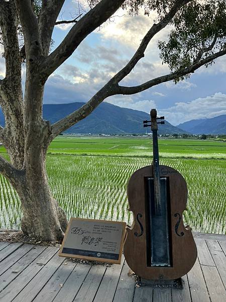 臺東縣台東「伯朗大道」。Taiwan台東熱門景點。臺東縣池上