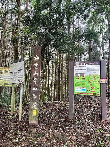 苗栗南庄適合所有等級的健行者｜哈堪尼山｜中級山【全省登山接駁