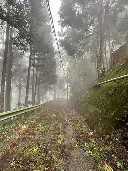 苗栗南庄適合所有等級的健行者｜哈堪尼山｜中級山【全省登山接駁