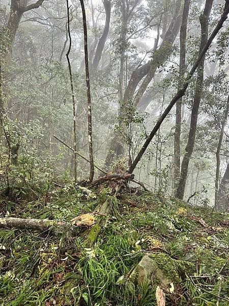 苗栗南庄適合所有等級的健行者｜哈堪尼山｜中級山【全省登山接駁