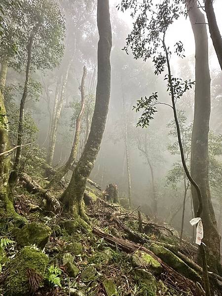 苗栗南庄適合所有等級的健行者｜哈堪尼山｜中級山【全省登山接駁