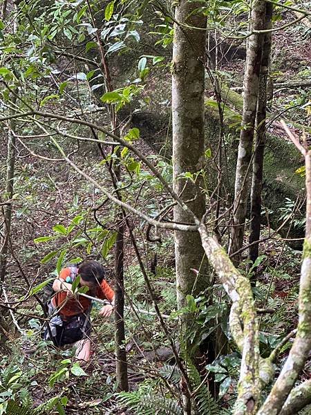 苗栗南庄適合所有等級的健行者｜哈堪尼山｜中級山【全省登山接駁