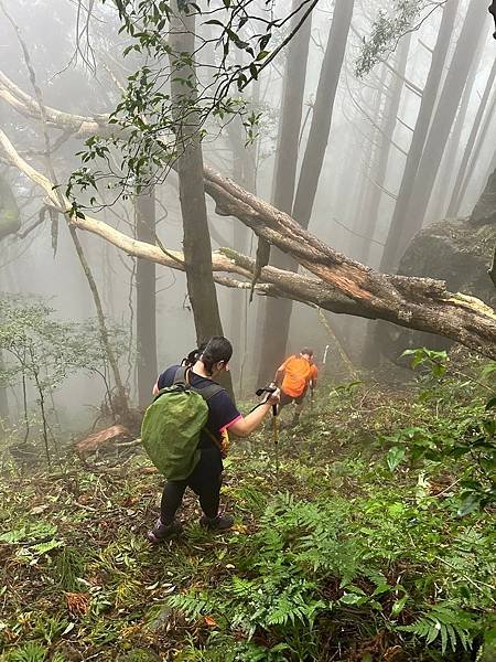 苗栗南庄適合所有等級的健行者｜哈堪尼山｜中級山【全省登山接駁