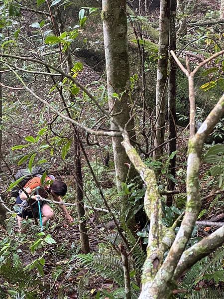 苗栗南庄適合所有等級的健行者｜哈堪尼山｜中級山【全省登山接駁