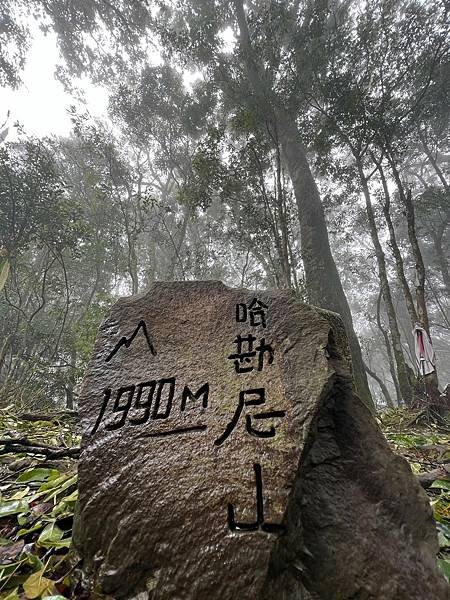 苗栗南庄適合所有等級的健行者｜哈堪尼山｜中級山【全省登山接駁