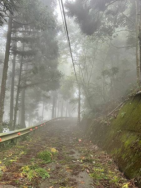 苗栗南庄適合所有等級的健行者｜哈堪尼山｜中級山【全省登山接駁