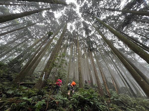 苗栗南庄適合所有等級的健行者｜哈堪尼山｜中級山【全省登山接駁