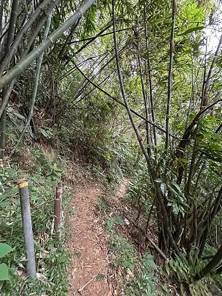 台北士林｜圓山水神社｜台北水神社步道｜台北五指山系｜劍潭山親