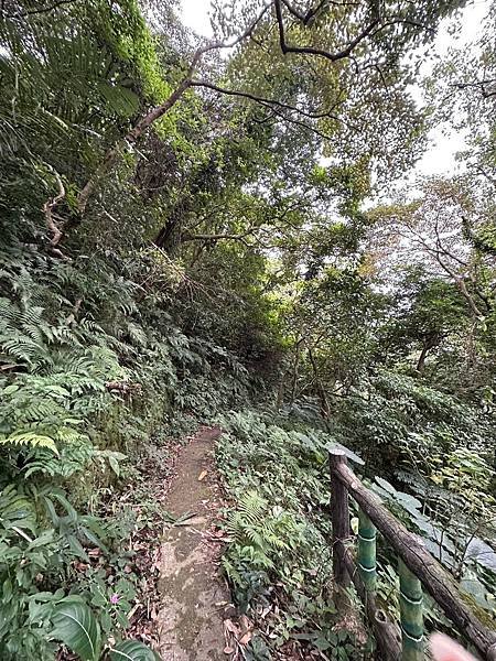 台北士林｜圓山水神社｜台北水神社步道｜台北五指山系｜劍潭山親