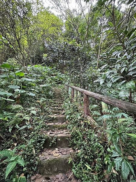 台北士林｜圓山水神社｜台北水神社步道｜台北五指山系｜劍潭山親