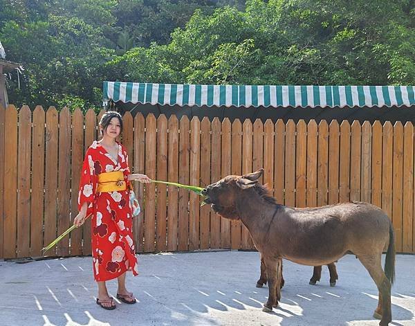 宜蘭餵動物.jpg
